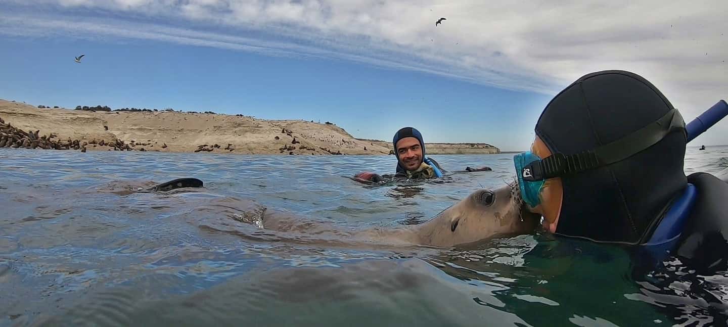 Bild Nr. 11 von Puerto Madryn: Schnorchelausflug mit Seelöwen Aktivität in Puerto Madryn, hochgeladen vom Anbieter