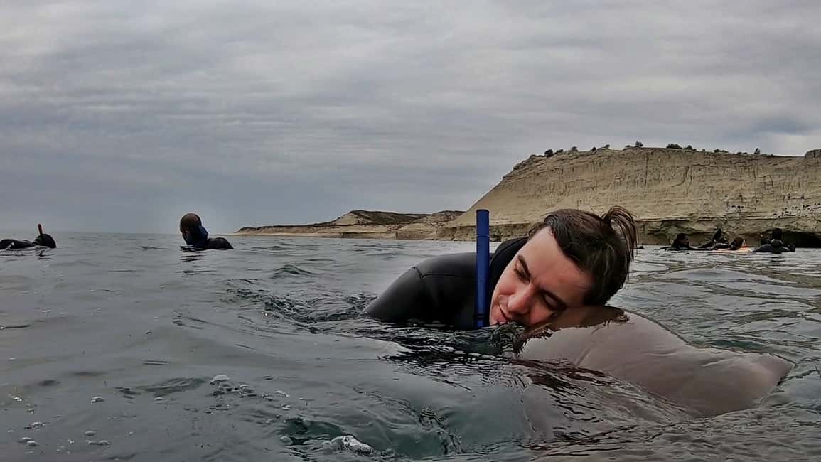 Bild Nr. 7 von Puerto Madryn: Schnorchelausflug mit Seelöwen Aktivität in Puerto Madryn, hochgeladen vom Anbieter
