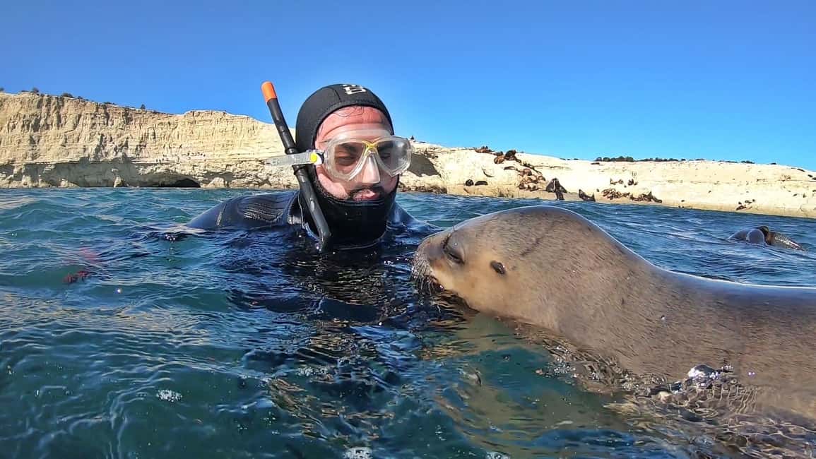 Bild Nr. 1 von Puerto Madryn: Schnorchelausflug mit Seelöwen Aktivität in Puerto Madryn, hochgeladen vom Anbieter