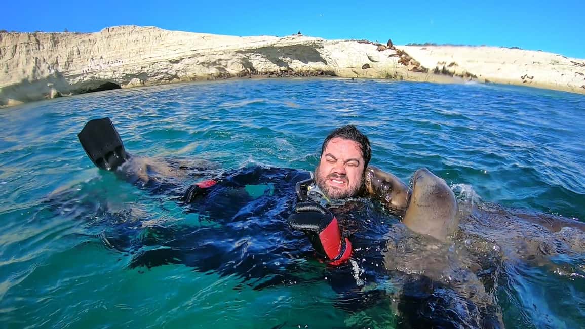 Bild Nr. 6 von Puerto Madryn: Schnorchelausflug mit Seelöwen Aktivität in Puerto Madryn, hochgeladen vom Anbieter