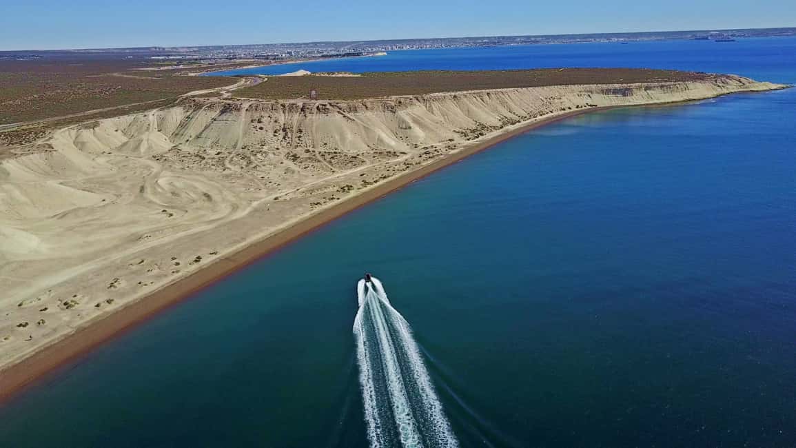 Bild Nr. 13 von Puerto Madryn: Schnorchelausflug mit Seelöwen Aktivität in Puerto Madryn, hochgeladen vom Anbieter