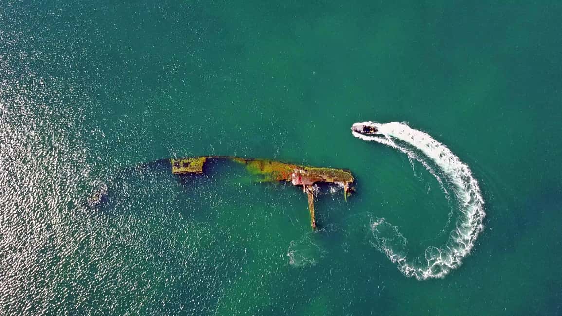 Bild Nr. 4 von Puerto Madryn: Schnorchelausflug mit Seelöwen Aktivität in Puerto Madryn, hochgeladen vom Anbieter