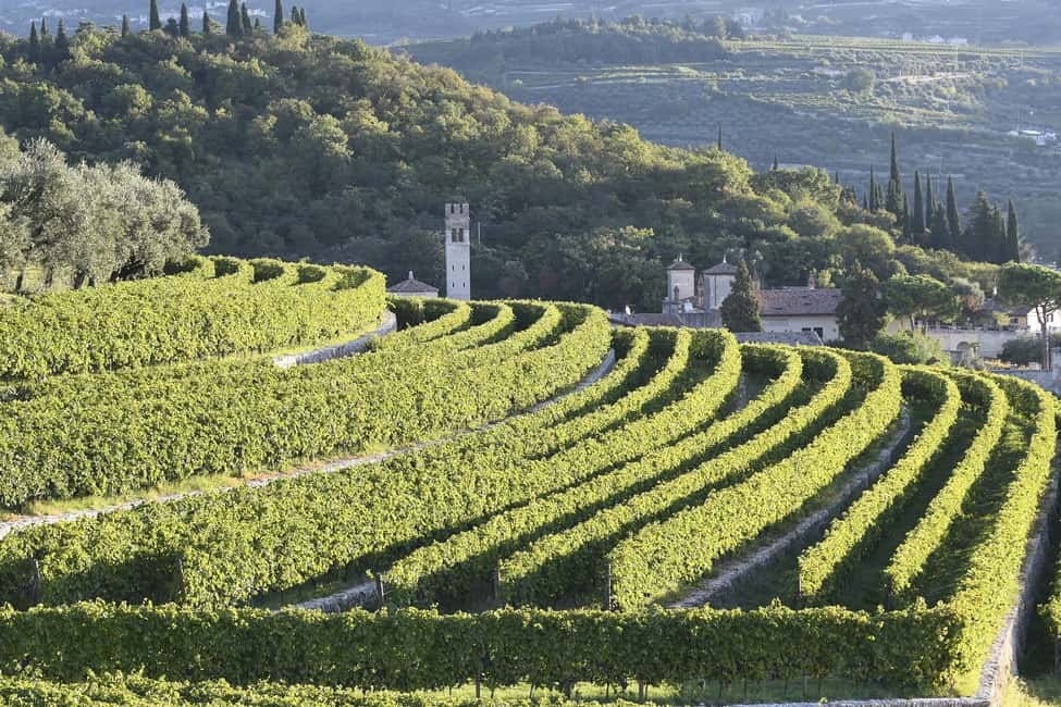afbeelding n.6 van Veneto: Amarone kook- en proefervaring in een villa activiteit in Lombardije, geüpload door aanbieder