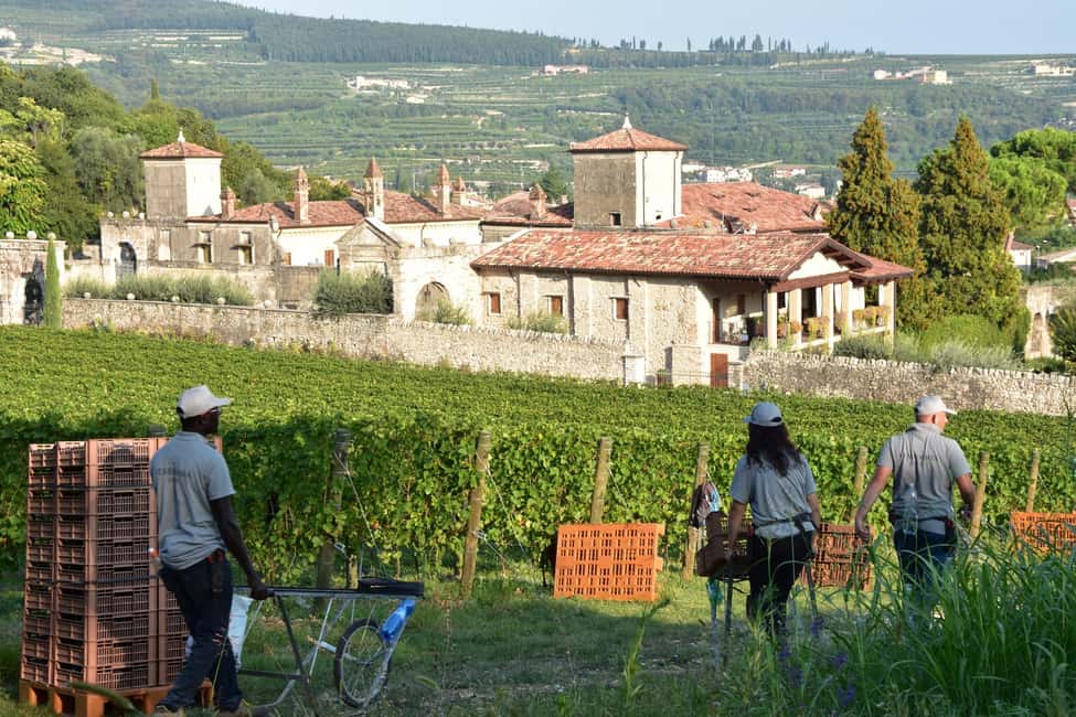 afbeelding n.7 van Veneto: Amarone kook- en proefervaring in een villa activiteit in Lombardije, geüpload door aanbieder