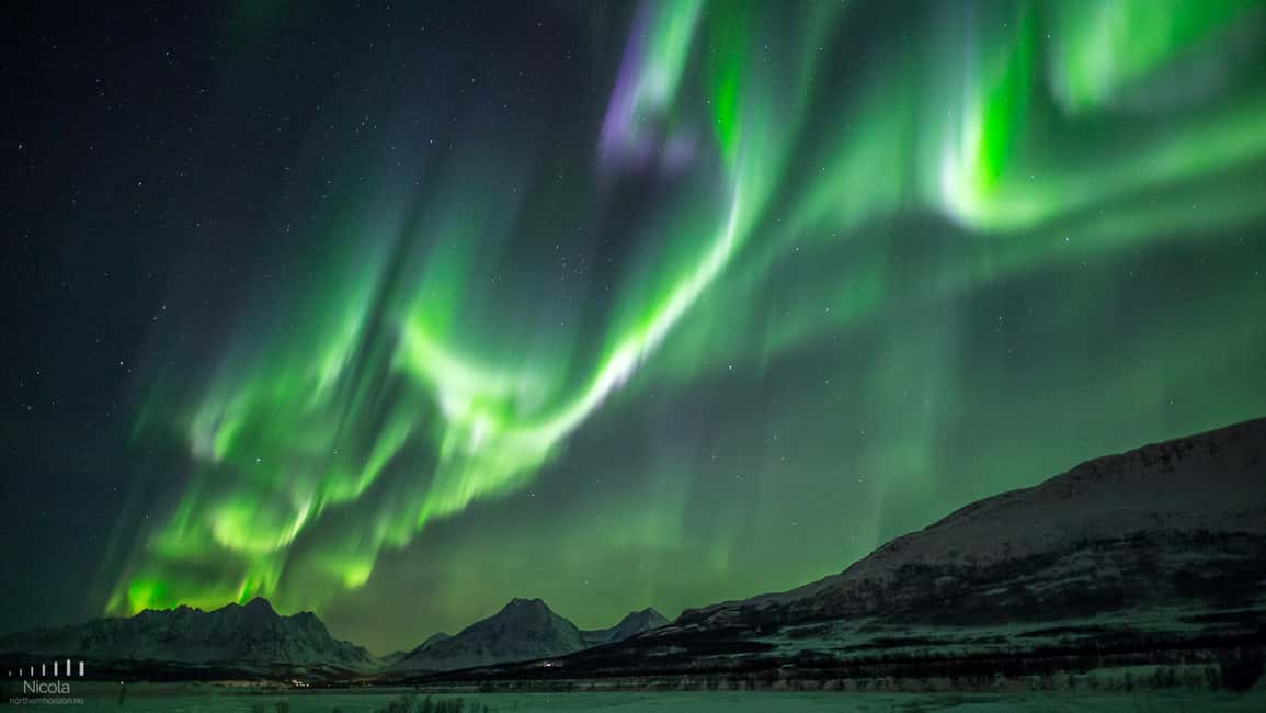 image n.2 of From Tromsø: Northern Lights Tour activity in Tromsø, uploaded by supplier