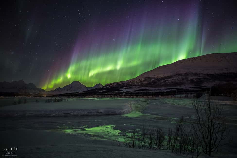 image n.10 of From Tromsø: Northern Lights Tour activity in Tromsø, uploaded by supplier