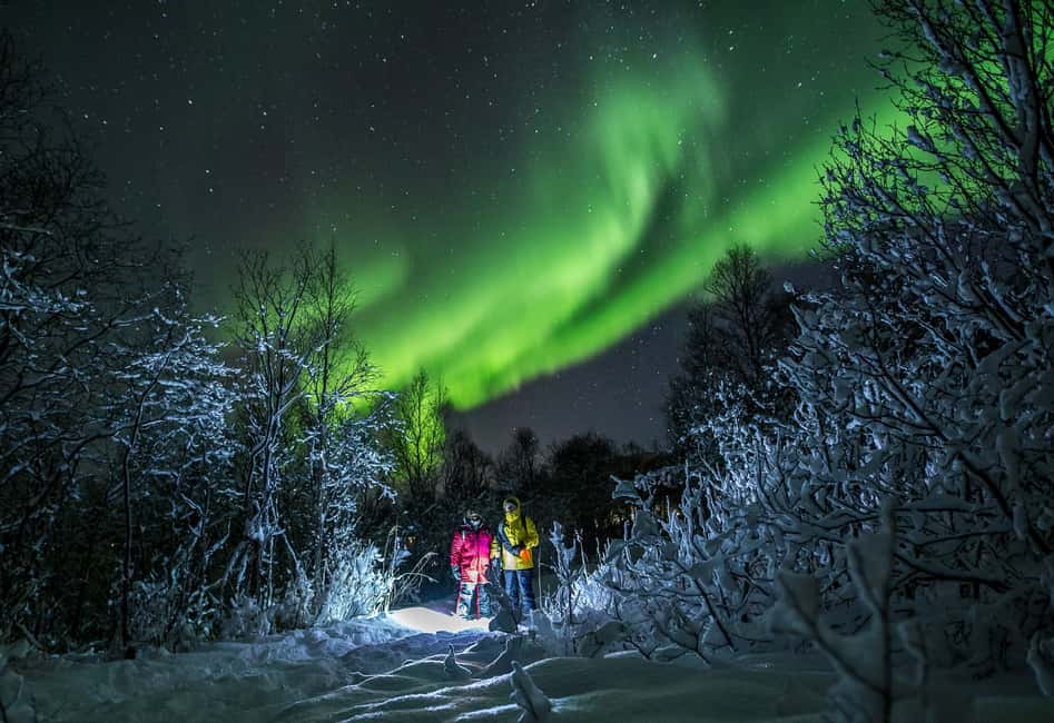 image n.18 of From Tromsø: Northern Lights Tour activity in Tromsø, uploaded by supplier