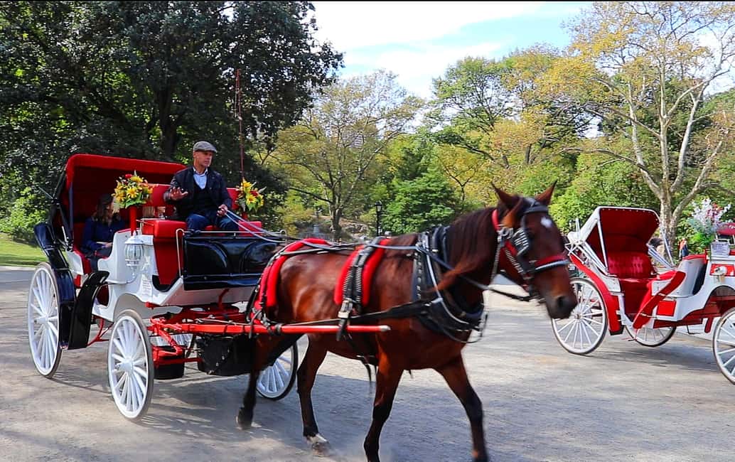 image n.6 of Central Park: Short Horse Carriage Ride (Up to 4 Adults) activity in New York City, uploaded by supplier
