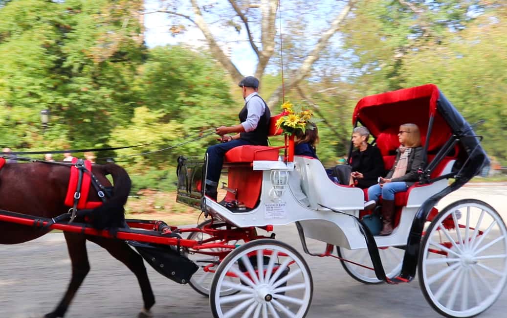 image n.13 of Central Park: Short Horse Carriage Ride (Up to 4 Adults) activity in New York City, uploaded by supplier