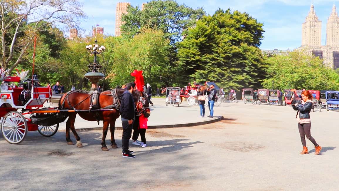 image n.14 of Central Park: Short Horse Carriage Ride (Up to 4 Adults) activity in New York City, uploaded by supplier