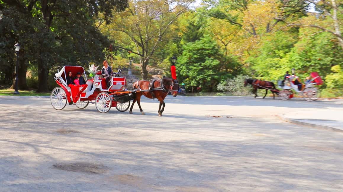 image n.7 of Central Park: Short Horse Carriage Ride (Up to 4 Adults) activity in New York City, uploaded by supplier