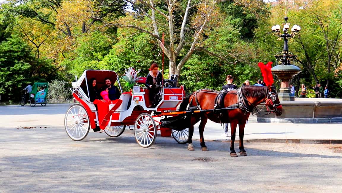 image n.9 of Central Park: Short Horse Carriage Ride (Up to 4 Adults) activity in New York City, uploaded by supplier