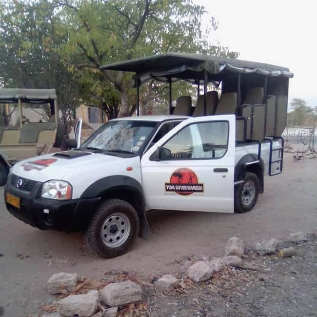 image n.1 of Etosha National Park: Full or Half-Day Game Drive activity in Oshikoto Region, uploaded by supplier