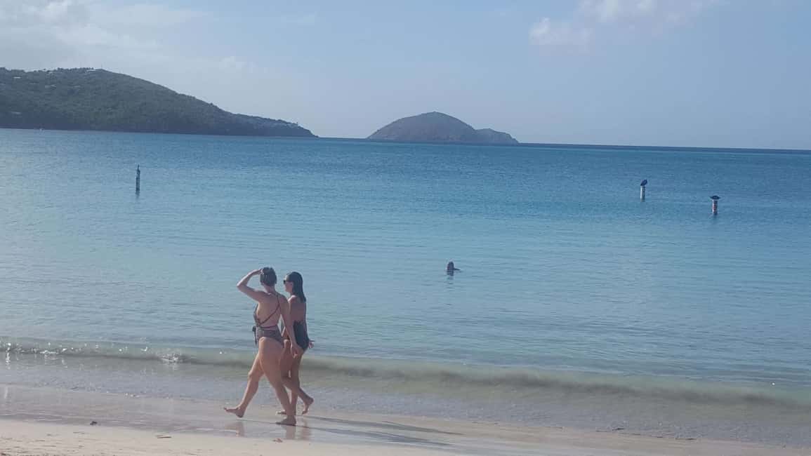 billede nr.2 af aktiviteten St John: Oplev øens skønhed og Trunk Bay Beach i Sankt Jan, uploadet af udbyder