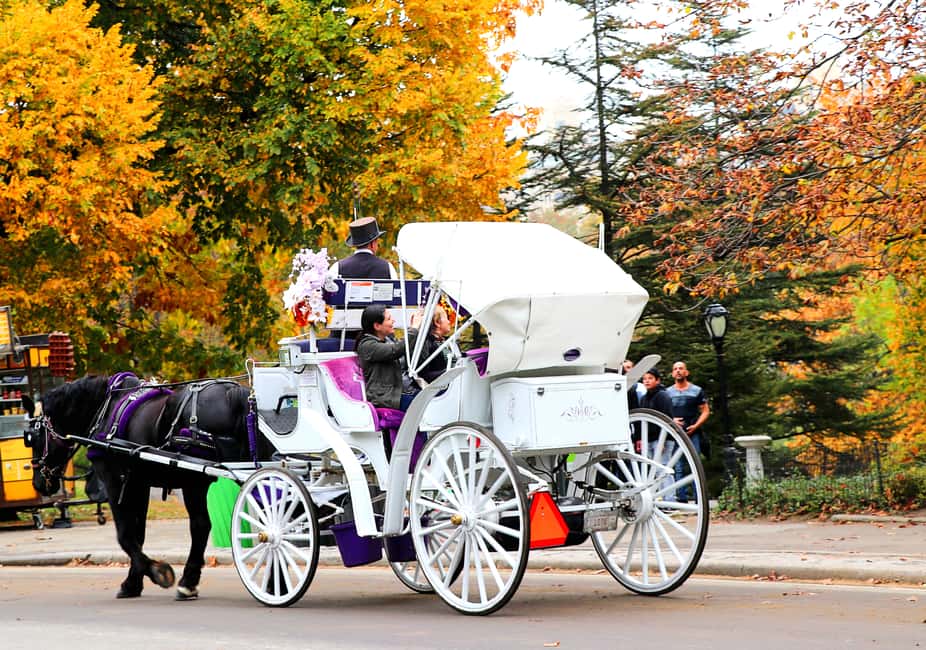 image n.3 of Central Park: Short Horse Carriage Ride (Up to 4 Adults) activity in New York City, uploaded by supplier