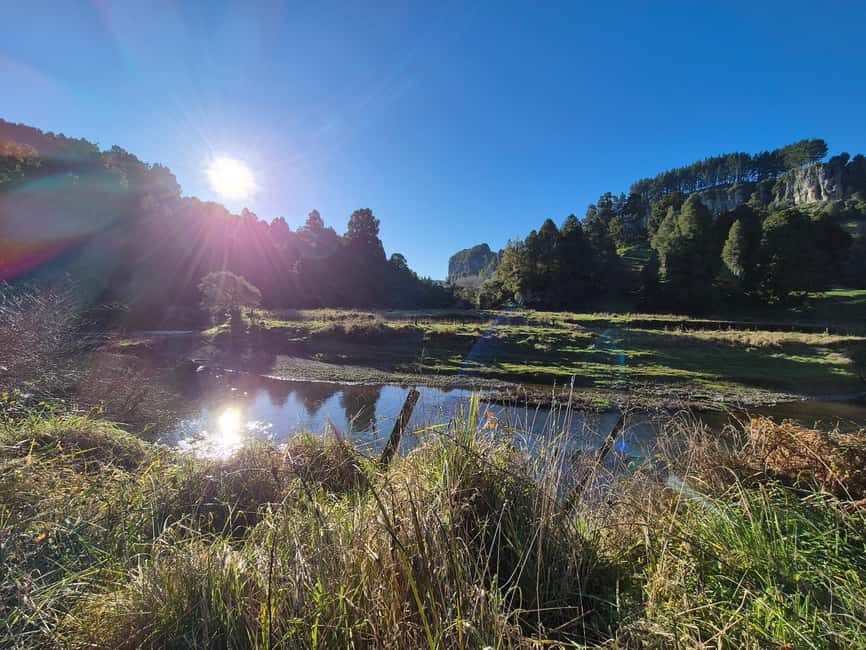 image n.7 of Explore Middle-Earth: Caves to Cinematic Landscapes activity in Waitomo, uploaded by supplier
