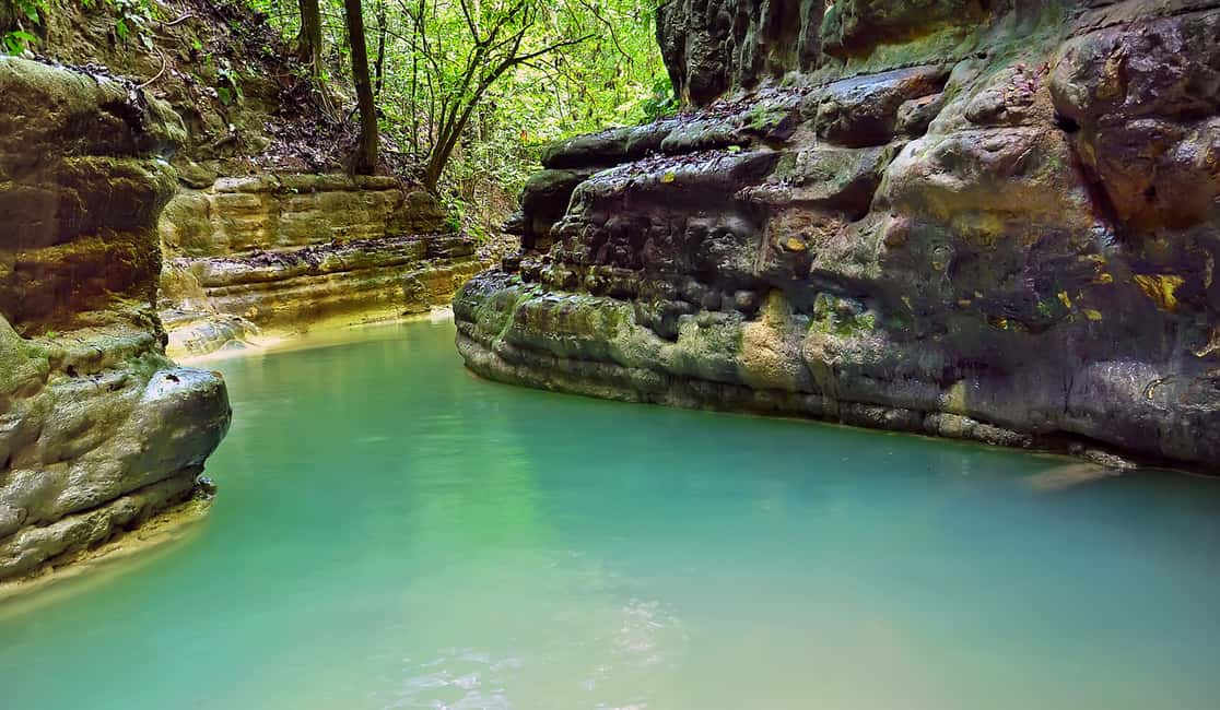 image n.5 of Puerto Plata: Damajagua Waterfalls Full-Day Adventure activity in Puerto Plata Province, uploaded by supplier