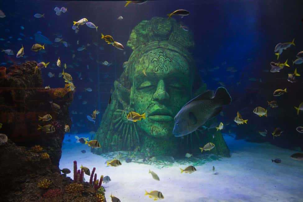 image n.3 of Manchester: SEA LIFE Entrance Ticket activity in Stretford, uploaded by supplier