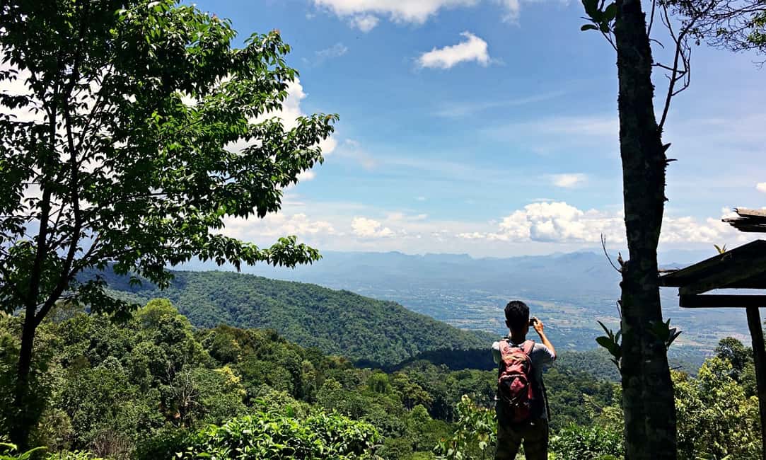 image n.9 of From Chiang Mai: High Mountain Day Trek activity in Chiang Mai Province, uploaded by supplier