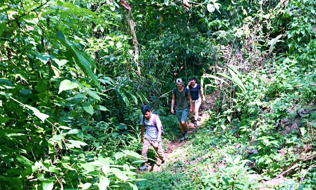 image n.10 of From Chiang Mai: High Mountain Day Trek activity in Chiang Mai Province, uploaded by supplier
