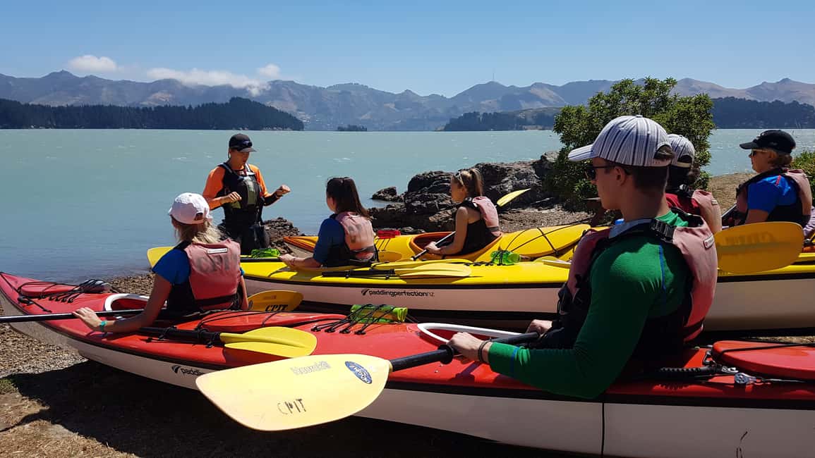 image n.13 of Christchurch: Sea Kayaking Tour of Lyttelton Harbour activity in South Island, uploaded by supplier