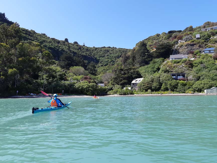 image n.15 of Christchurch: Sea Kayaking Tour of Lyttelton Harbour activity in South Island, uploaded by supplier