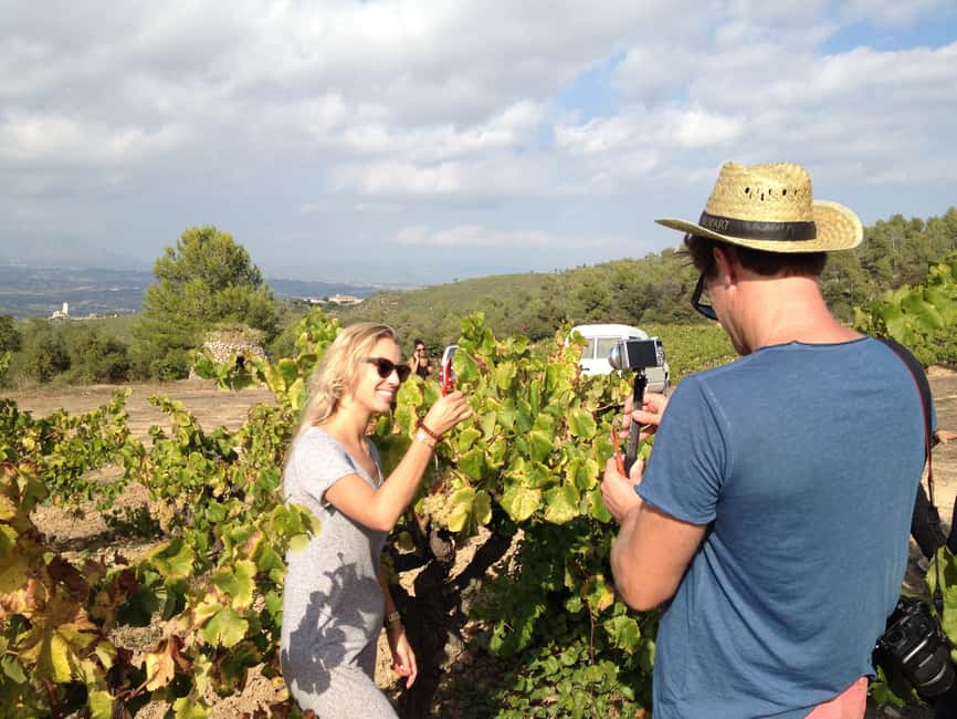 billede nr.8 af aktiviteten Fra Barcelona: Montserrat-frokost og vinsmagning i vingård i Catalonien, uploadet af udbyder