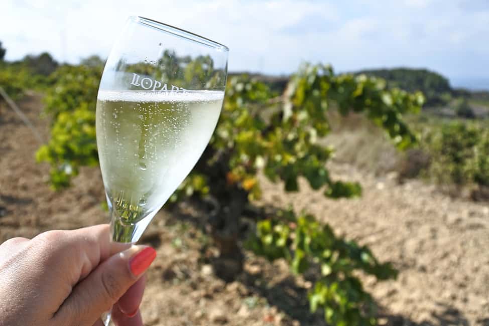 billede nr.10 af aktiviteten Fra Barcelona: Montserrat-frokost og vinsmagning i vingård i Catalonien, uploadet af udbyder