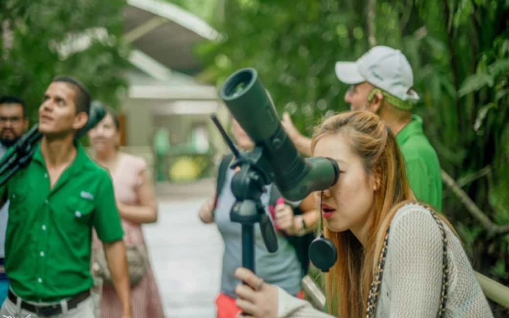 bild nr.2 av Manuel Antonio Park: Manuel Antonio Park Nature Guidad tur aktivitet i Puntarenas-provinsen, uppladdad av arrangören
