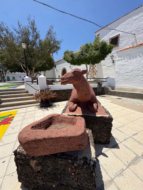 imagen n.º 19 de Fuerteventura: Gran Tour panorámico de la isla. ¡Todos los puntos destacados! actividad en Betancuria, subida por el proveedor