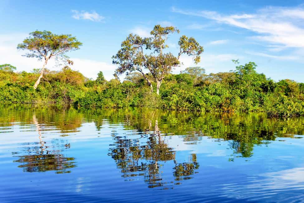 imagen n.º 2 de Manaos: Tour de día completo por el río Amazonas actividad en Manaos, subida por el proveedor