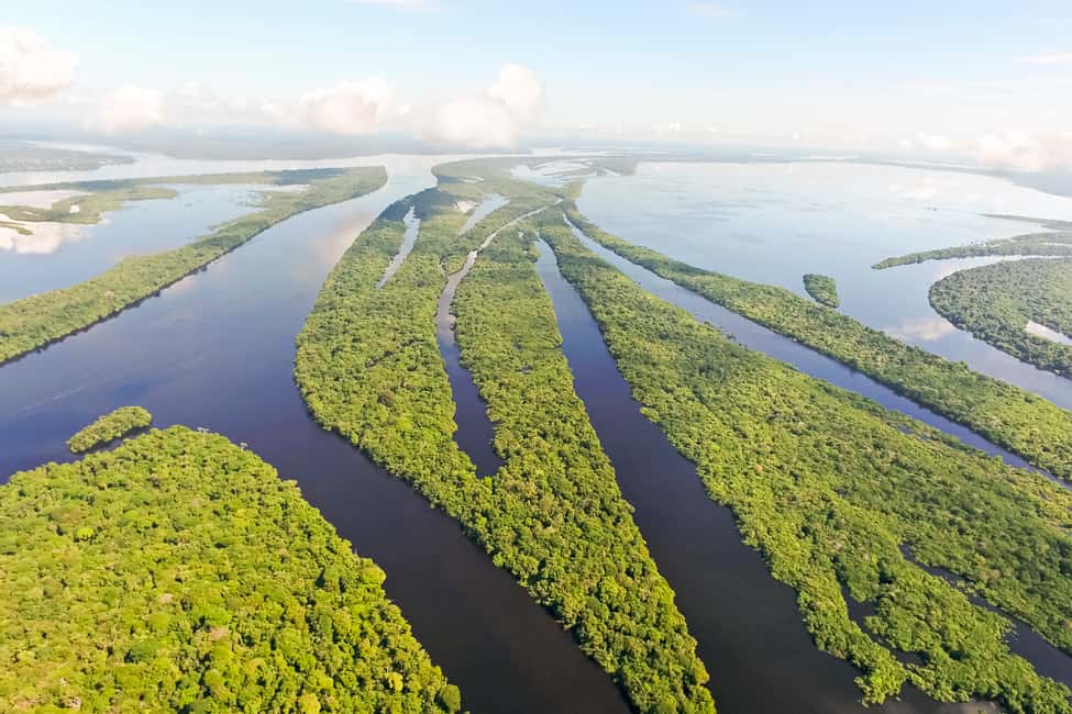 image n.5 of Manaus: Amazonas Jungle and Anavilhanas Archipelago Trek activity in North Region, Brazil, uploaded by supplier