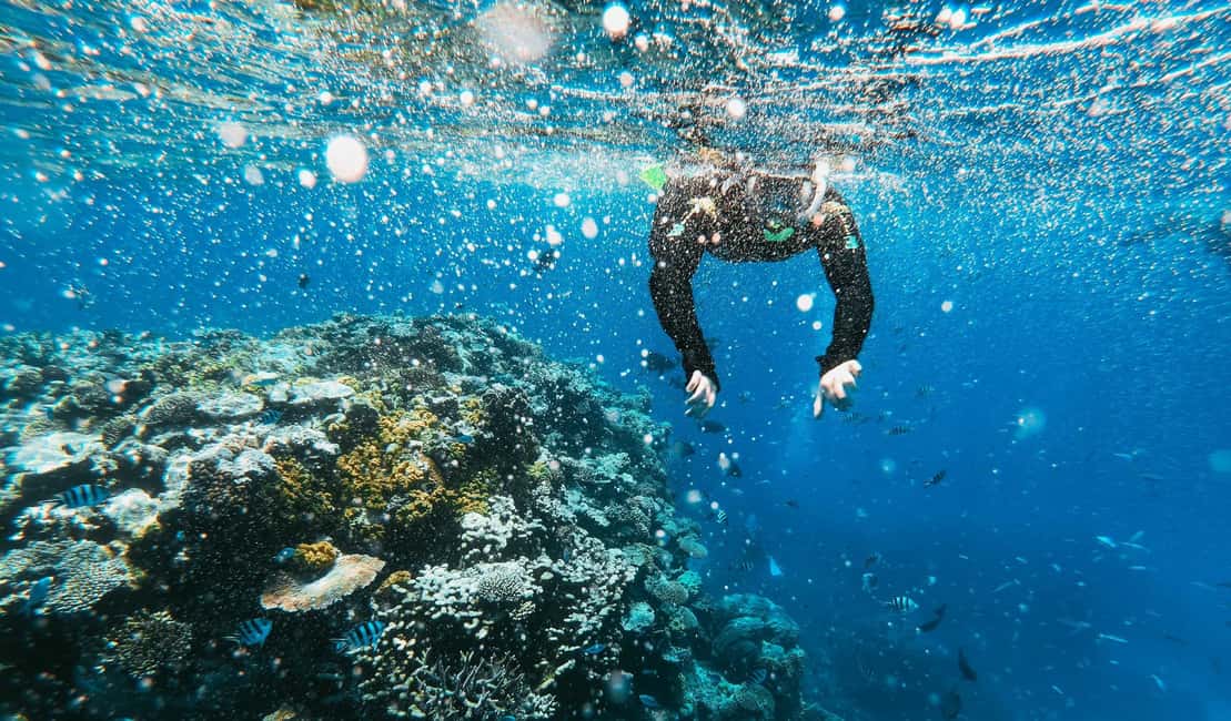 image n.10 of Naxos: Taormina Boat Tour with Snorkeling and Prosecco activity in Taormina, uploaded by supplier