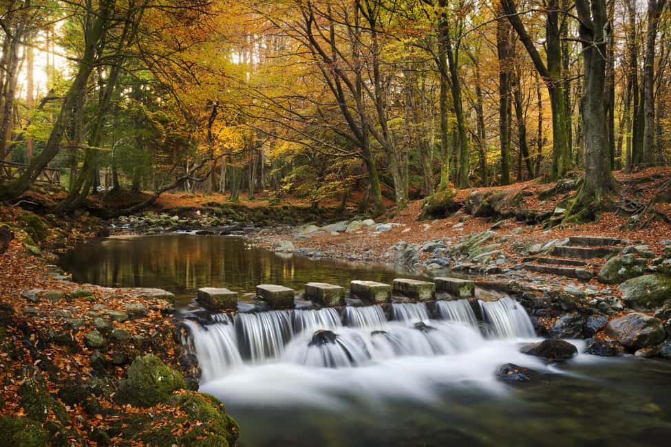imagem n.4 de Faz uma caminhada pela floresta de Tollymore: Game of Thrones - Caminhada na Floresta de Tollymore atividade em Condado de Down, carregada pelo fornecedor