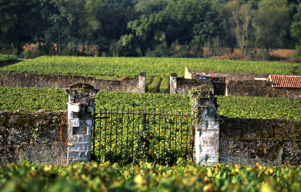 image n.5 of Exclusive Wine Day Trip Loire Valley from Paris activity in Amboise, uploaded by supplier