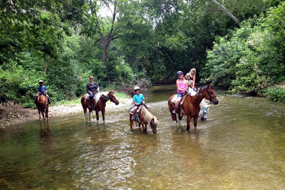 image n.3 of From Fethiye: Horse Riding Adventure activity in Fethiye, uploaded by supplier