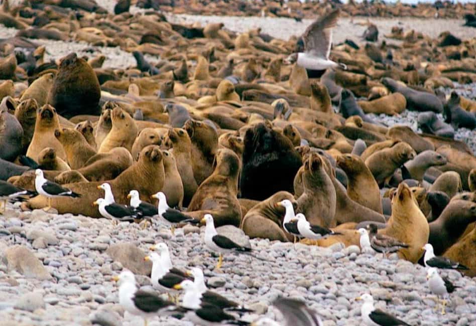 image n.9 of Lima: 7-Day Inca Tour with Flights and Machu Picchu activity in Maras, uploaded by supplier