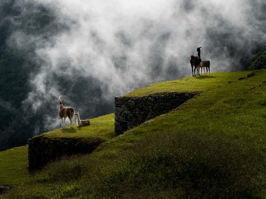 image n.17 of Lima: 7-Day Inca Tour with Flights and Machu Picchu activity in Maras, uploaded by supplier