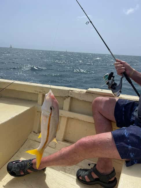 imagem n.4 de Santa Maria: Viagem de pesca ao corrico atividade em Santa Maria, Cabo Verde, carregada pelo fornecedor