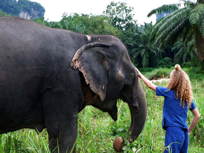 image n.7 of Ko Lanta Yai: Half-Day Ethical Elephant Sanctuary Tour activity in Gulf of Thailand, uploaded by supplier
