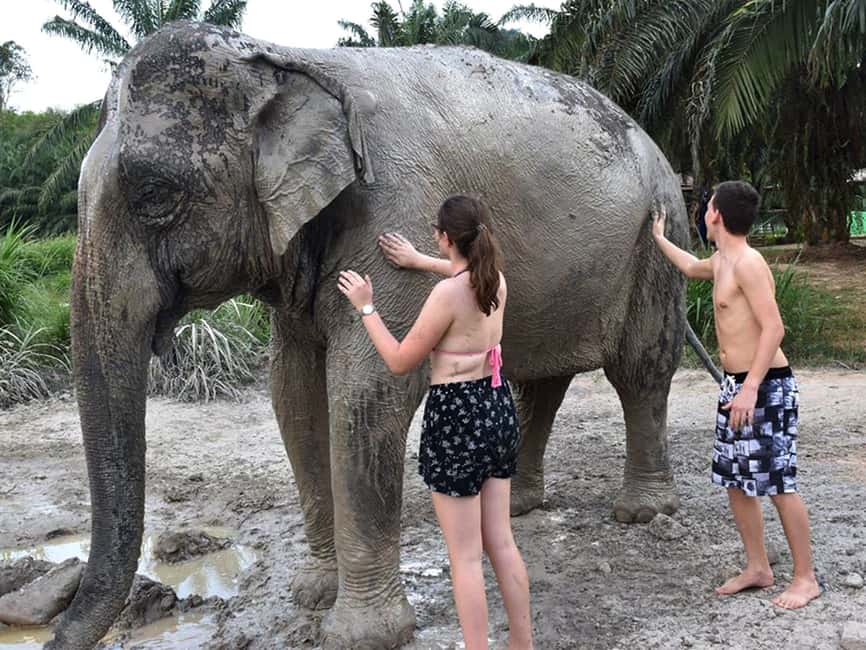 image n.4 of Ko Lanta Yai: Half-Day Ethical Elephant Sanctuary Tour activity in Gulf of Thailand, uploaded by supplier