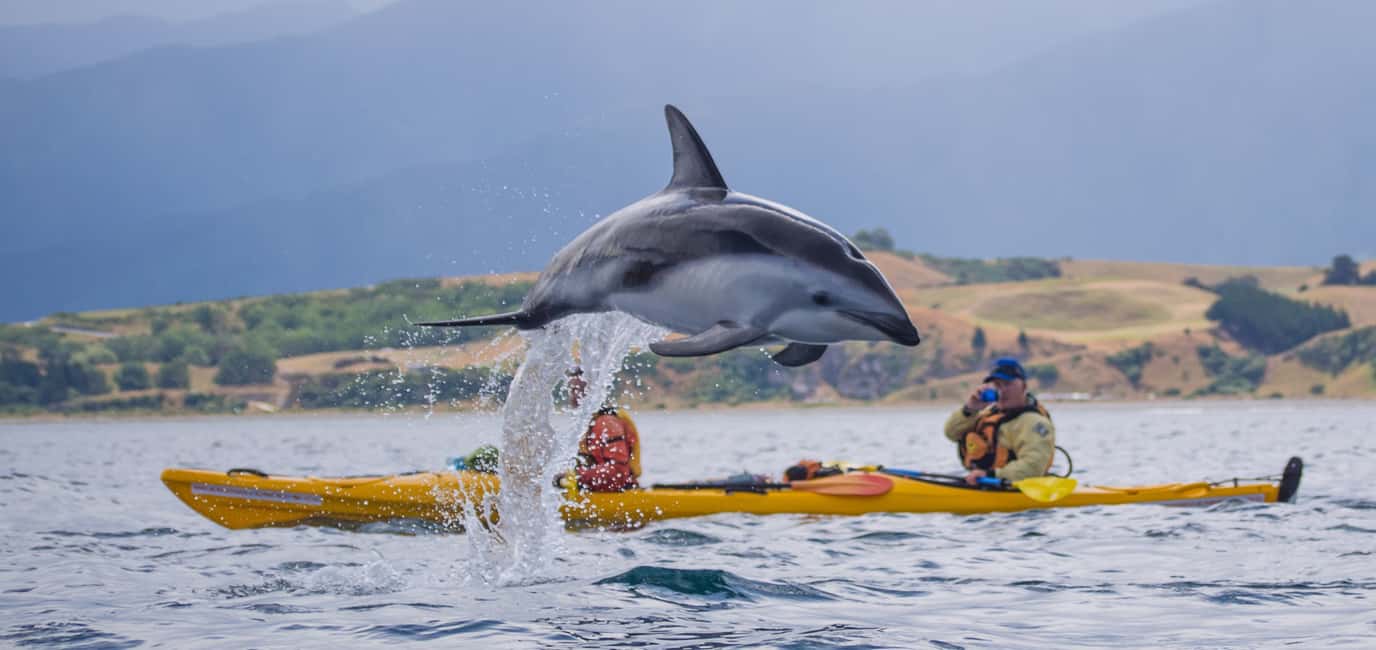 image n.13 of Kaikoura: Sunset Evening Kayaking Tour activity in Kaikoura, uploaded by supplier