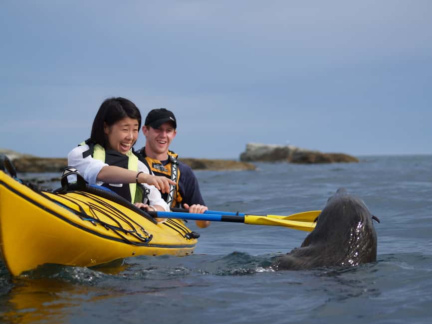 image n.15 of Kaikoura: Sunset Evening Kayaking Tour activity in Kaikoura, uploaded by supplier