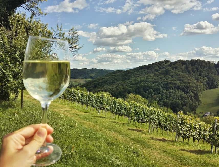 image n.3 of From Zagreb: Fairytale Castle & Wine Tasting & Lunch activity in Trakošćan, uploaded by supplier
