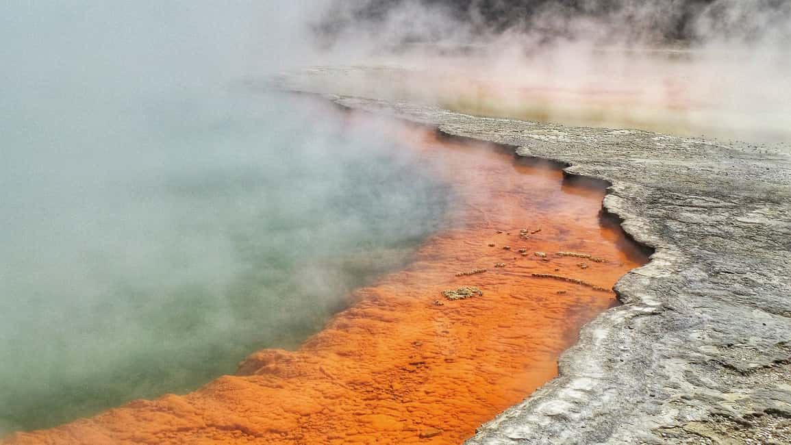 image n.5 of From Auckland: Two-Day Hobbiton, Rotorua, Waitomo Caves Tour activity in Matamata, uploaded by supplier