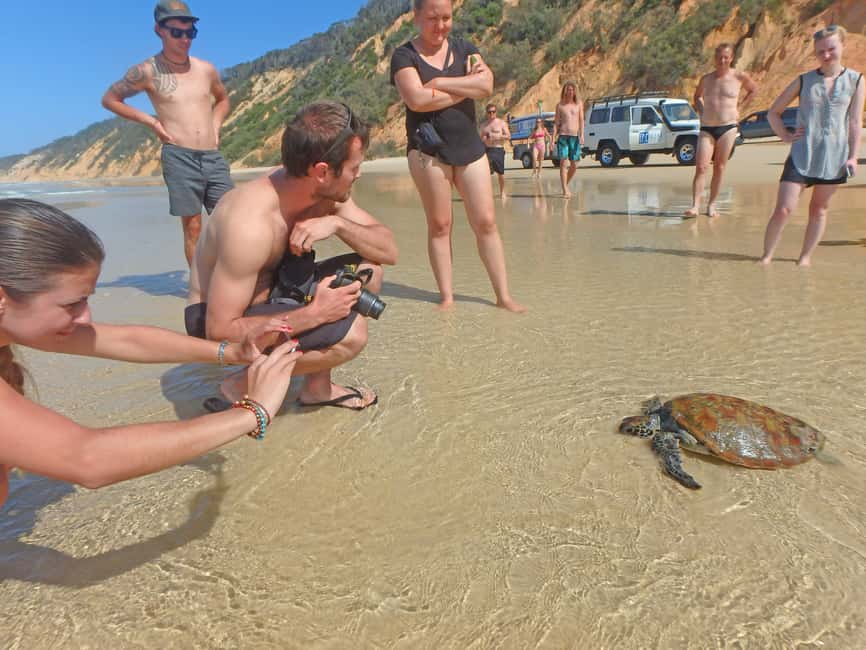 image n.14 of Noosa: Dolphin Sea Kayak & Beach 4X4 Tour (in National Park) activity in Gympie, uploaded by supplier