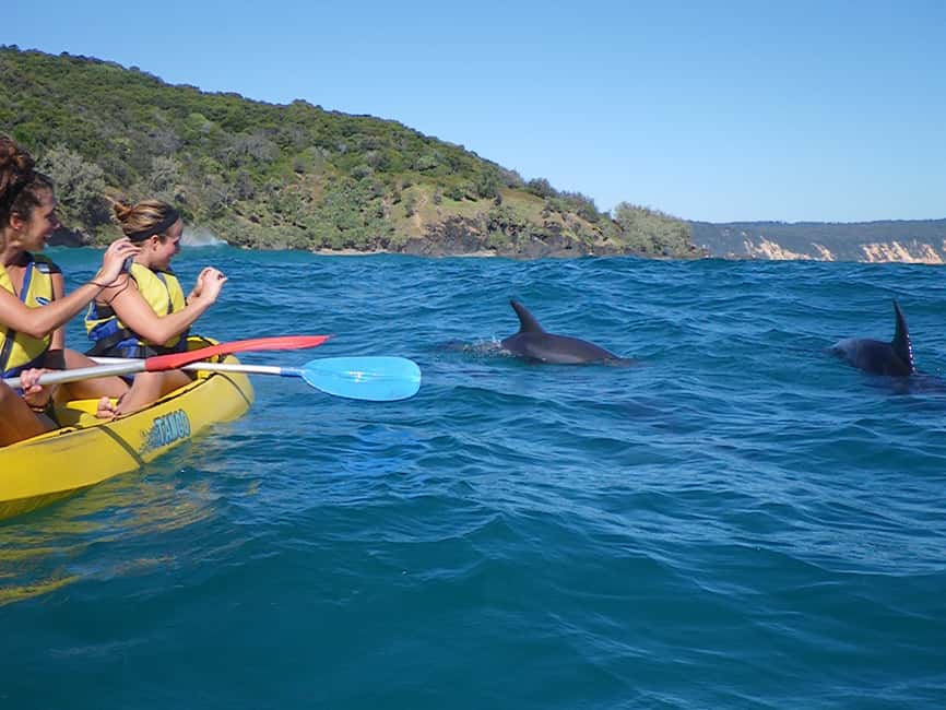 image n.17 of Noosa: Dolphin Sea Kayak & Beach 4X4 Tour (in National Park) activity in Gympie, uploaded by supplier