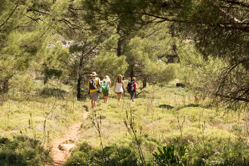 image n.10 of Rhodes: Hiking Tour to the Summit of Akramitis with Photos activity in Monolithos, uploaded by supplier