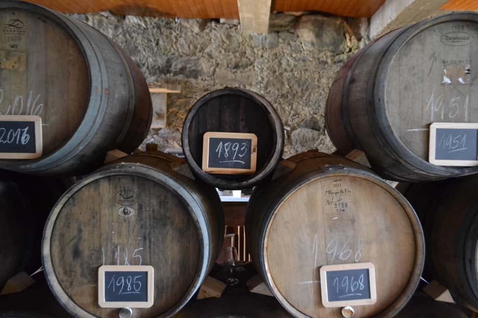 Bild Nr. 21 von Porto: 3 Douro Valley Vineyards Tour mit Mittagessen Aktivität in Região Norte, hochgeladen vom Anbieter