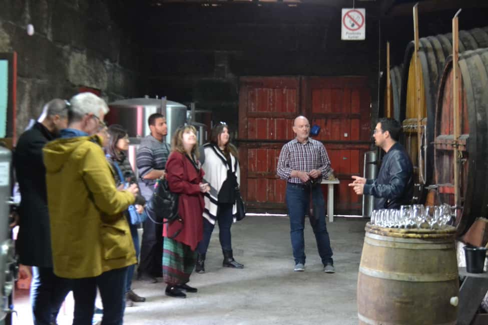 Bild Nr. 3 von Porto: 3 Douro Valley Vineyards Tour mit Mittagessen Aktivität in Região Norte, hochgeladen vom Anbieter